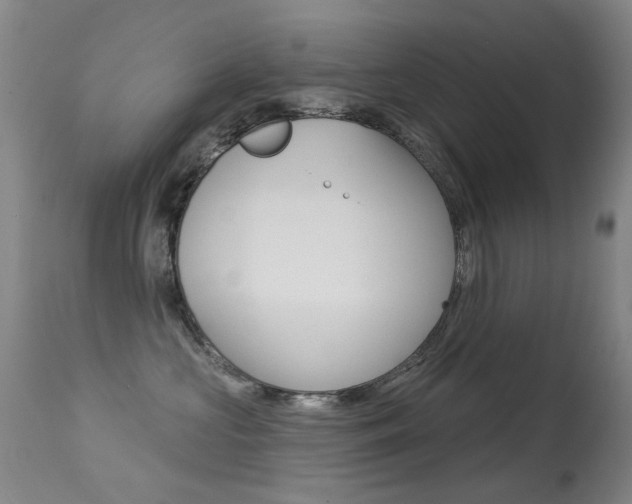 X0000113280573200909140944
