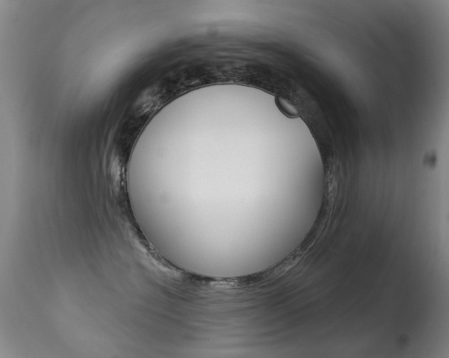X0000113280574200909140944
