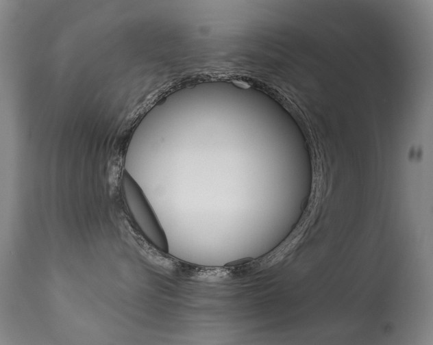 X0000113280576200909140944
