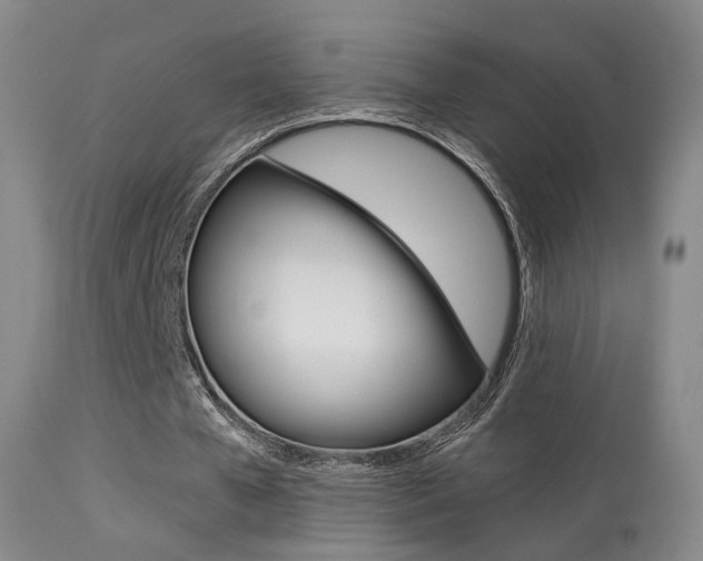 X0000113280577200909140943
