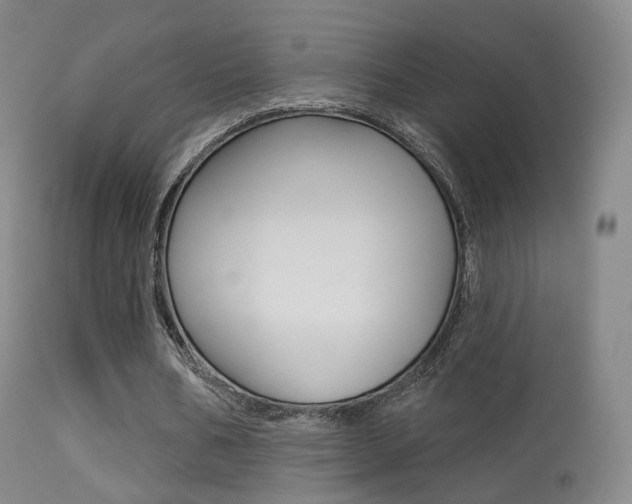 X0000113280578200909140943