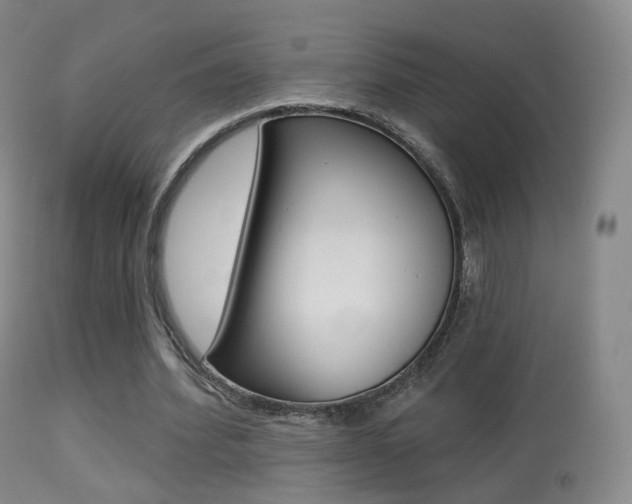 X0000113280580200909140943