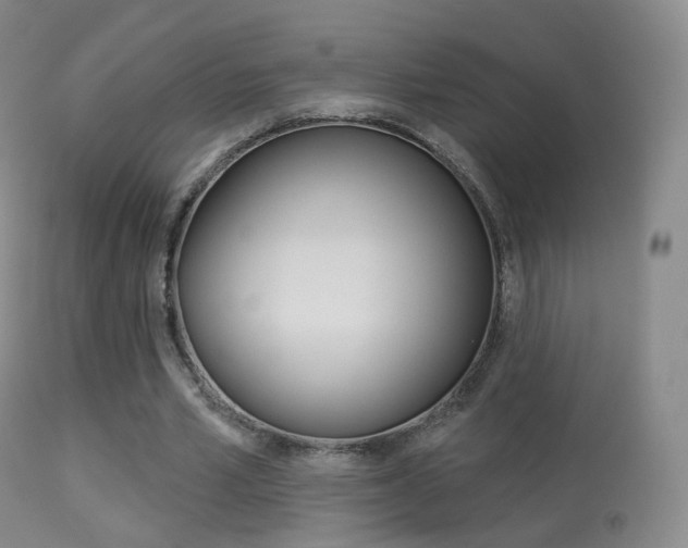 X0000113280581200909140943