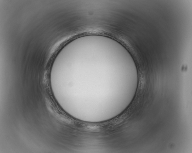 X0000113280583200909140943