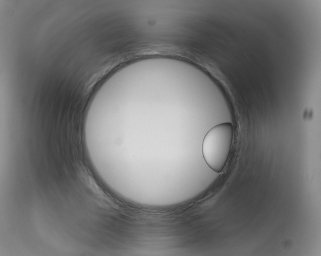 X0000113280585200909140943