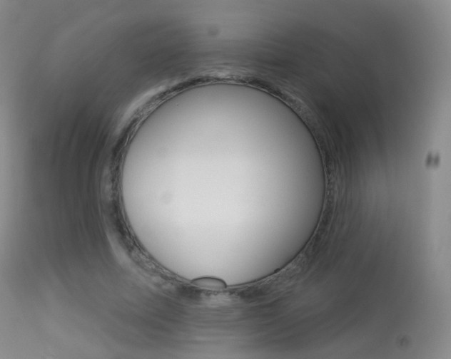 X0000113280587200909140943