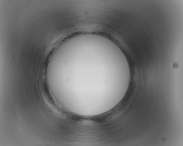 X0000113280590200909140943
