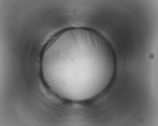 X0000113280592200909140943