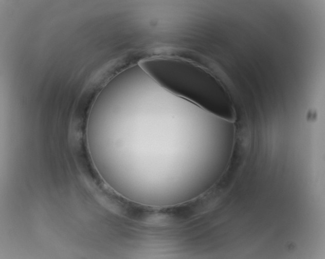 X0000113280593200909140943