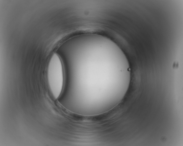 X0000113280596200909140943