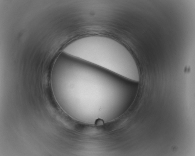 X0000113280597200909140943