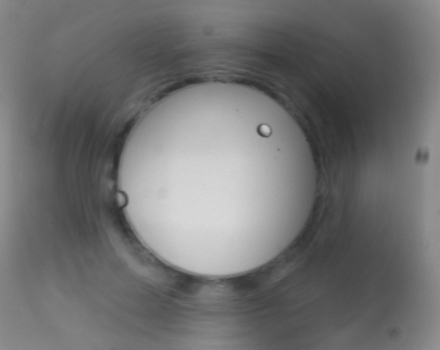 X0000113280599200909140943