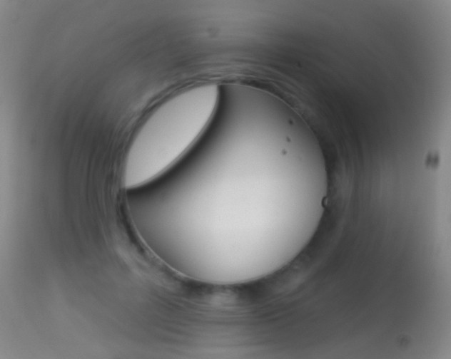 X0000113280600200909140943
