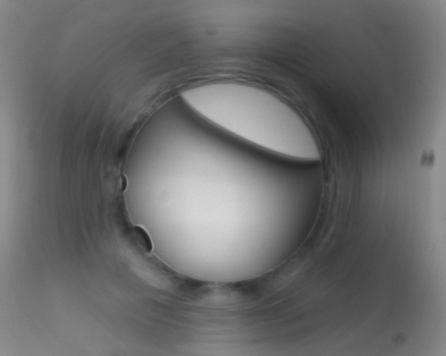 X0000113280601200909140943