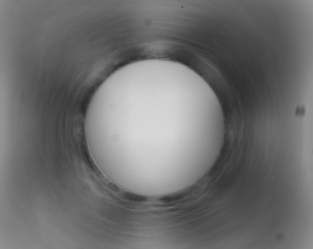 X0000113280603200909140943