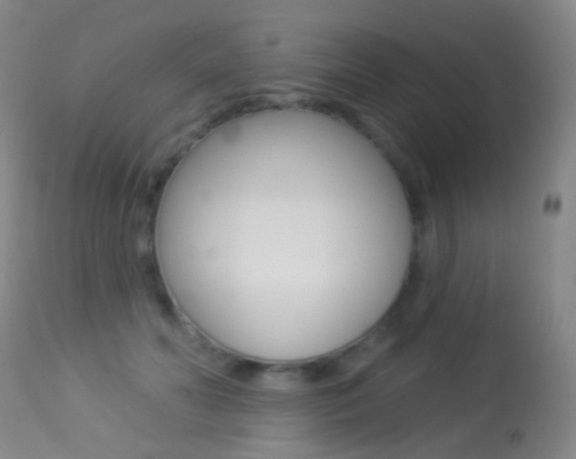 X0000113280606200909140942