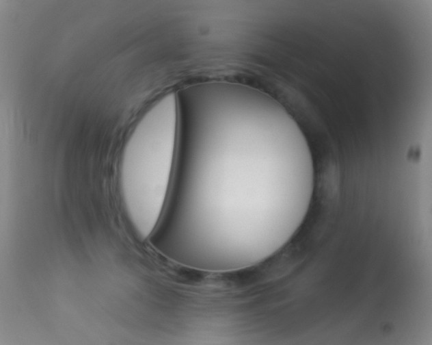 X0000113280608200909140942