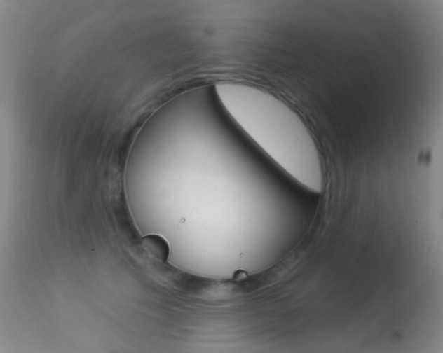 X0000113280609200909140942