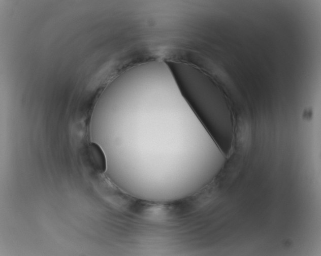 X0000113280611200909140942