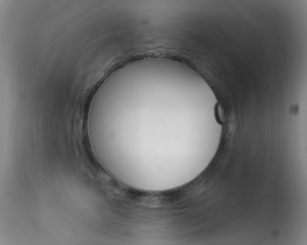 X0000113280615200909140942