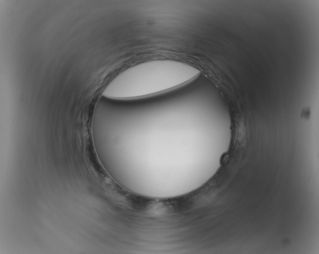 X0000113280616200909140942