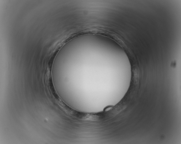 X0000113280617200909140942