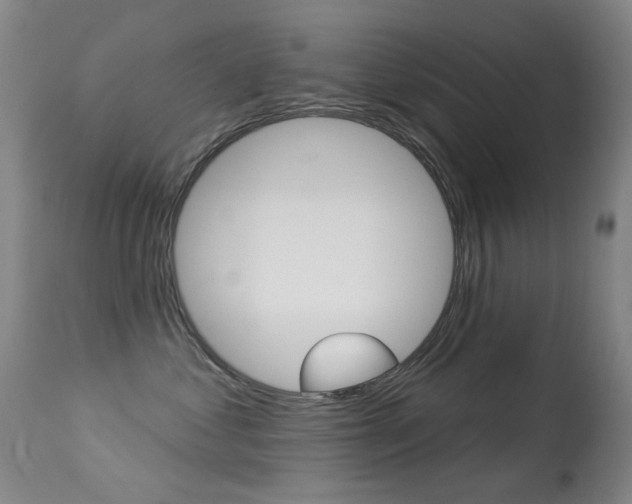 X0000113280621200909140942