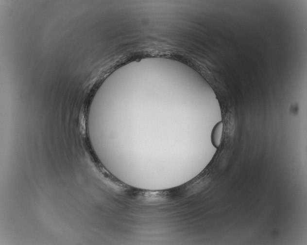 X0000113280622200909140942
