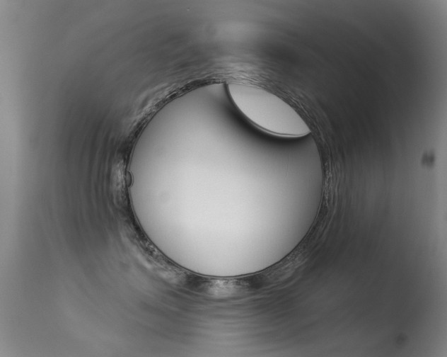 X0000113280623200909140942