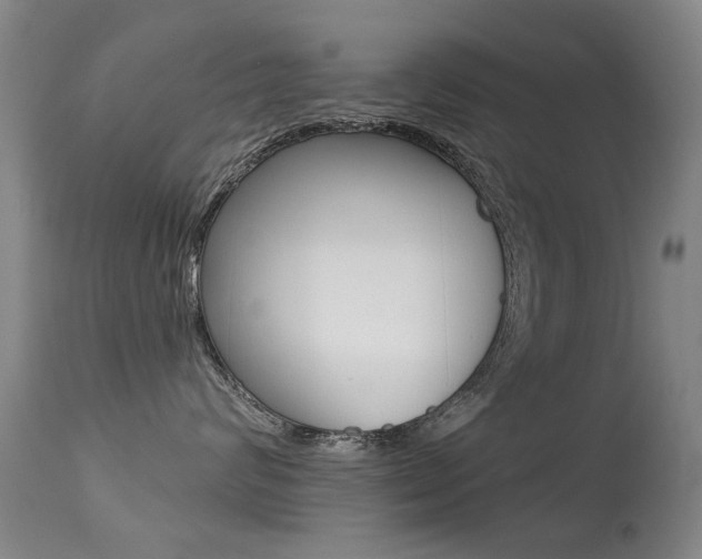 X0000113280624200909140942