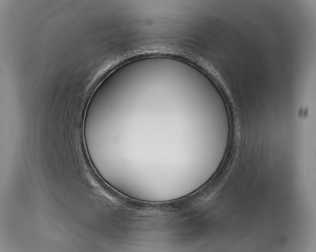 X0000113280625200909140942