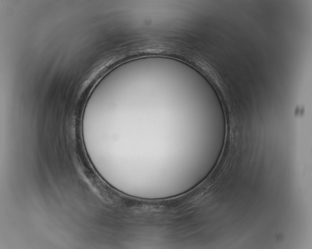 X0000113280626200909140942