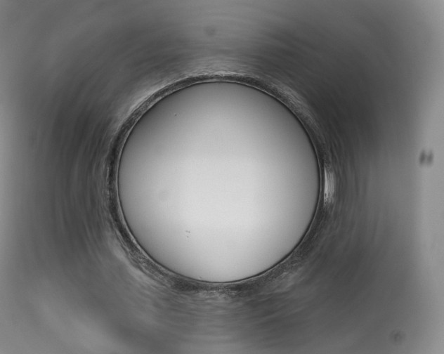 X0000113280627200909140942