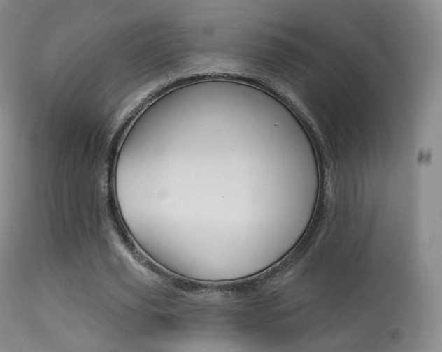 X0000113280629200909140942