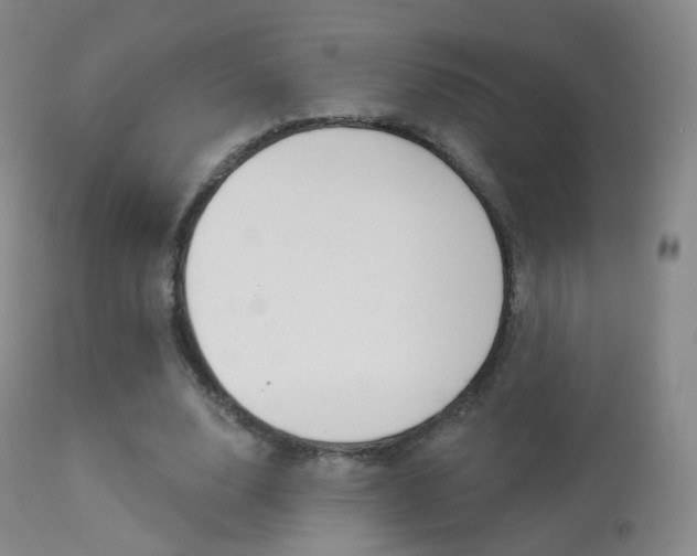 X0000113280632200909140942