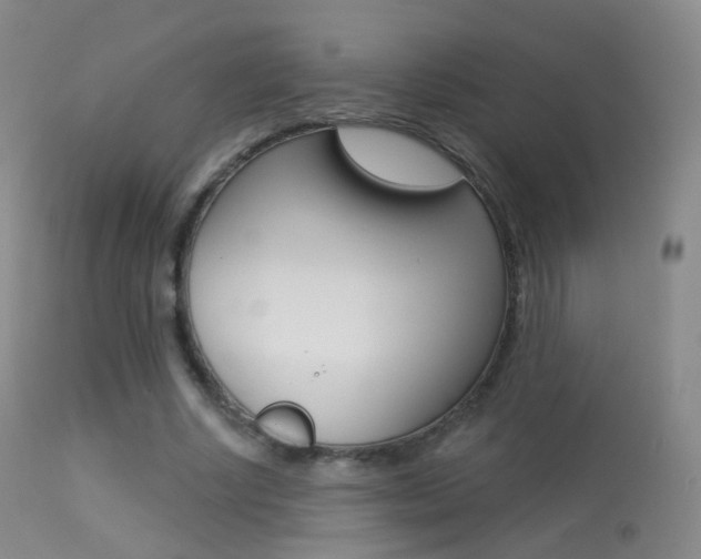 X0000113280634200909140942