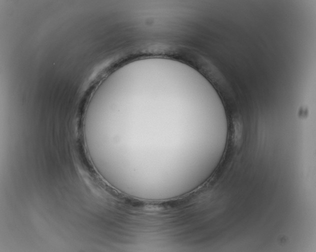 X0000113280636200909140942