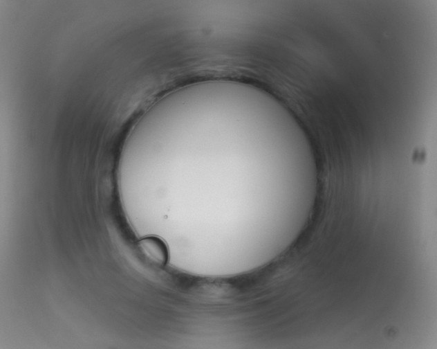 X0000113280642200909140942