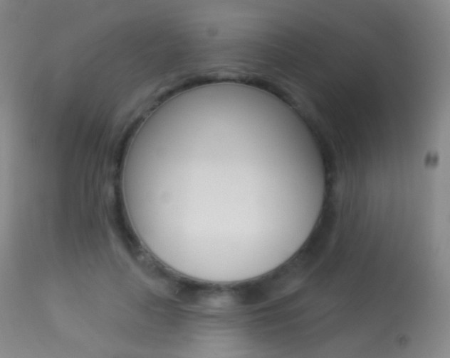X0000113280643200909140942