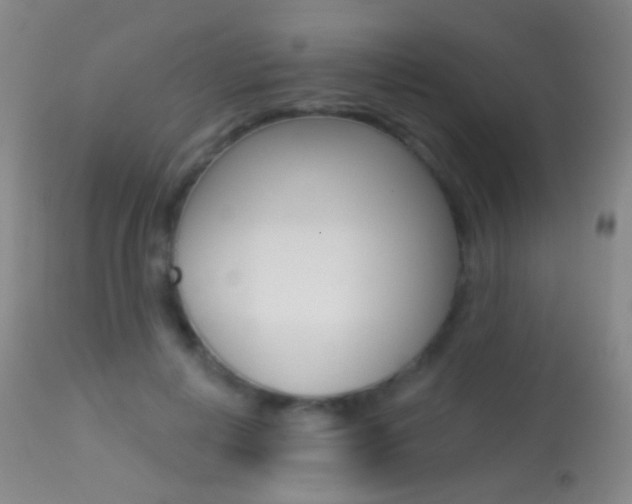X0000113280648200909140942