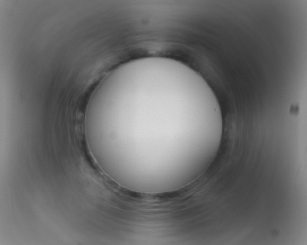 X0000113280650200909140942