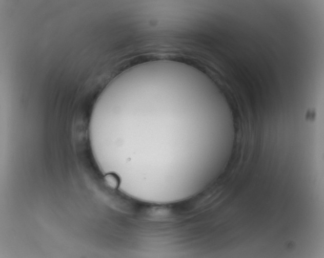 X0000113280651200909140942