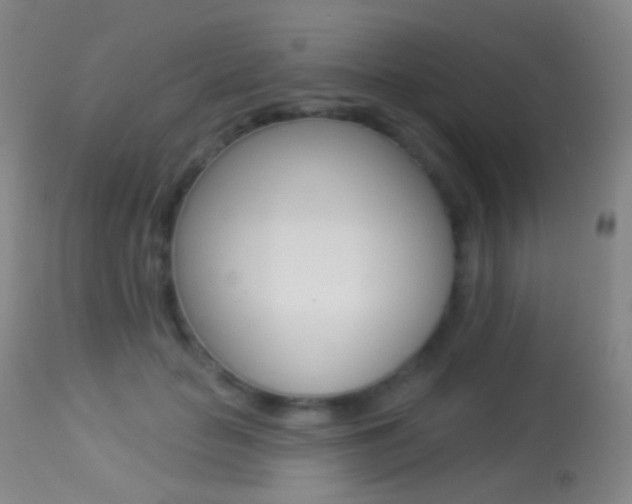 X0000113280653200909140942