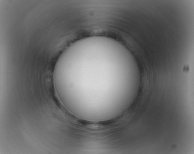 X0000113280654200909140942