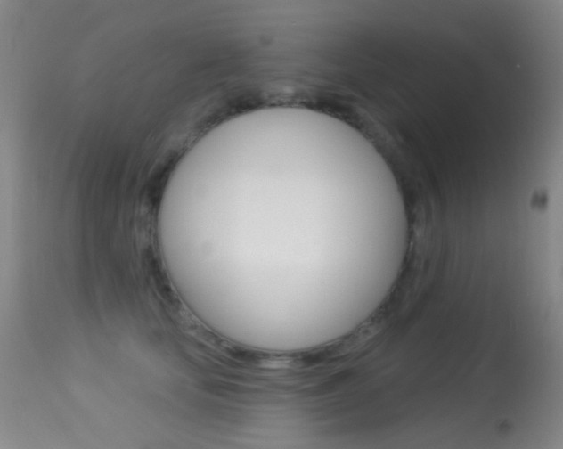 X0000113280659200909140942