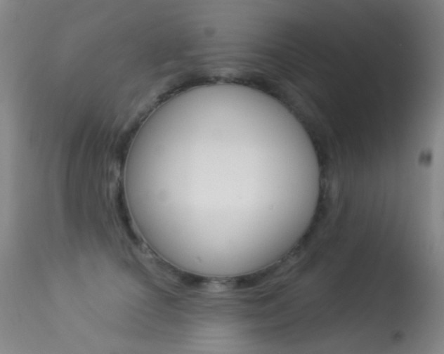 X0000113280660200909140942
