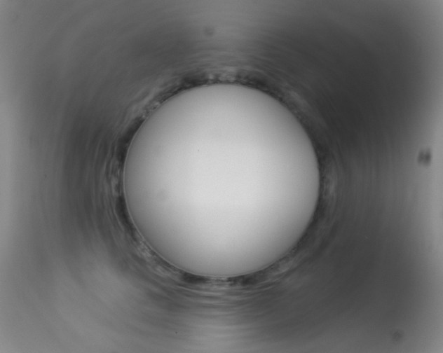 X0000113280661200909140942