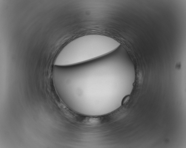 X0000113280665200909140942