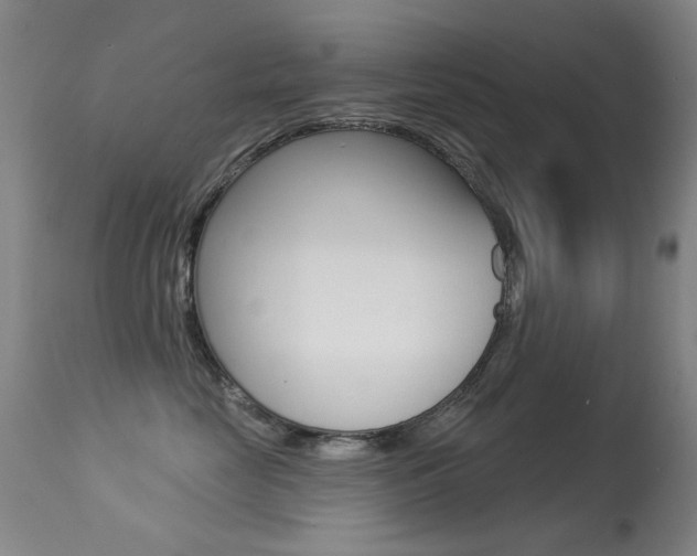 X0000113280669200909140942