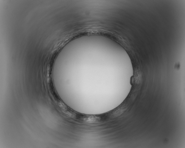 X0000113280670200909140942